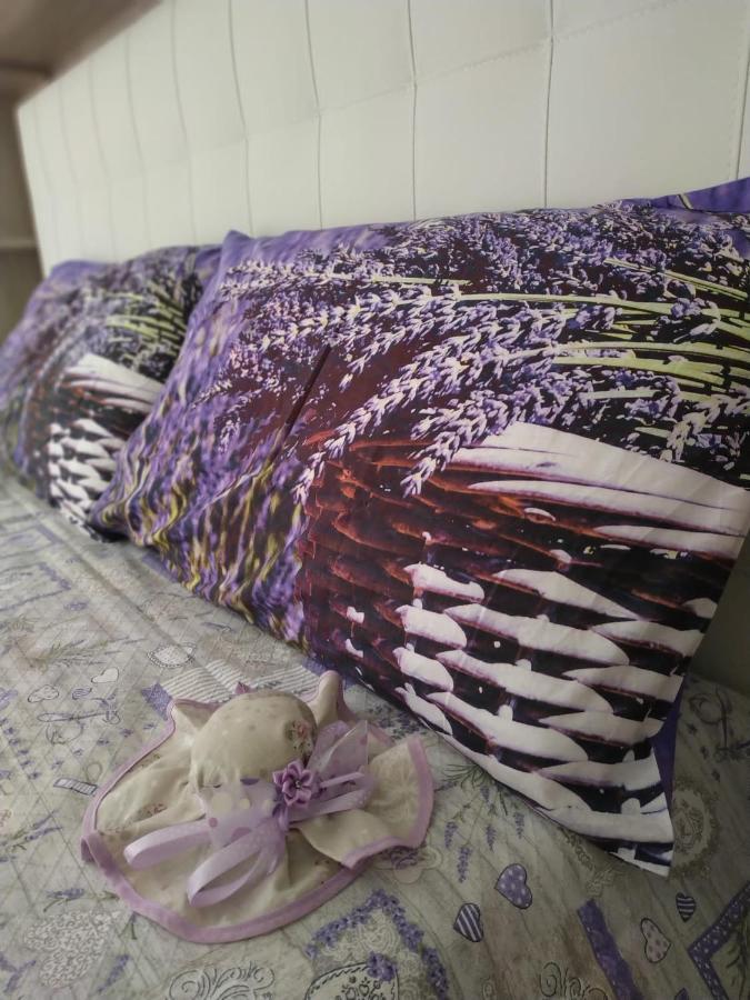 Mini Suite ปิซา ภายนอก รูปภาพ